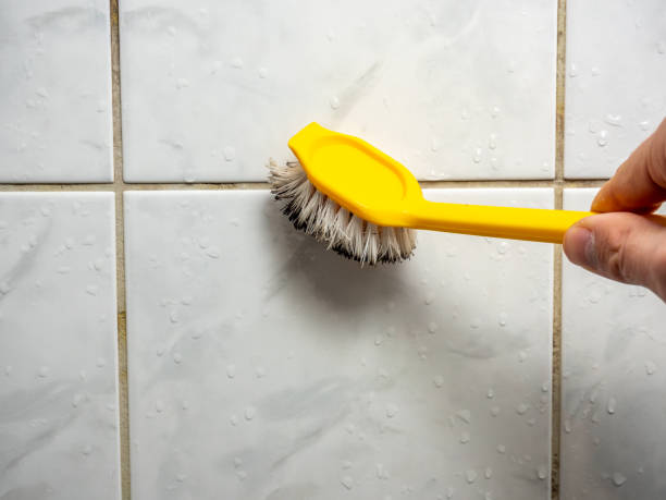 Home Mold Removal in Culver, IN