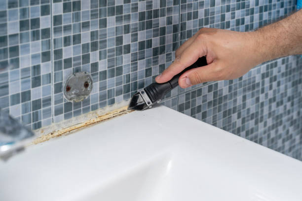 Best Affordable Mold Removal  in Culver, IN