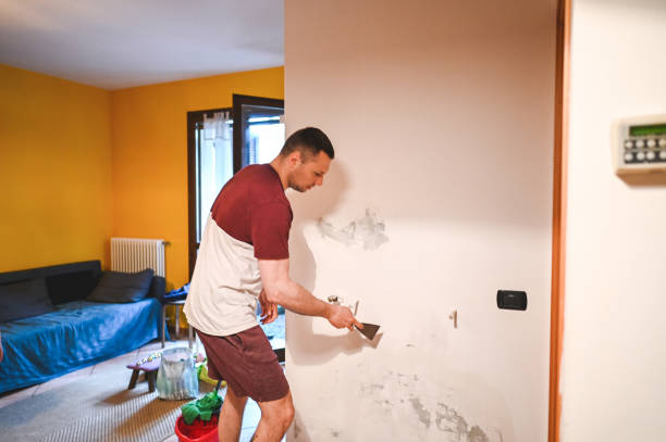 Best Mold Remediation Services  in Culver, IN